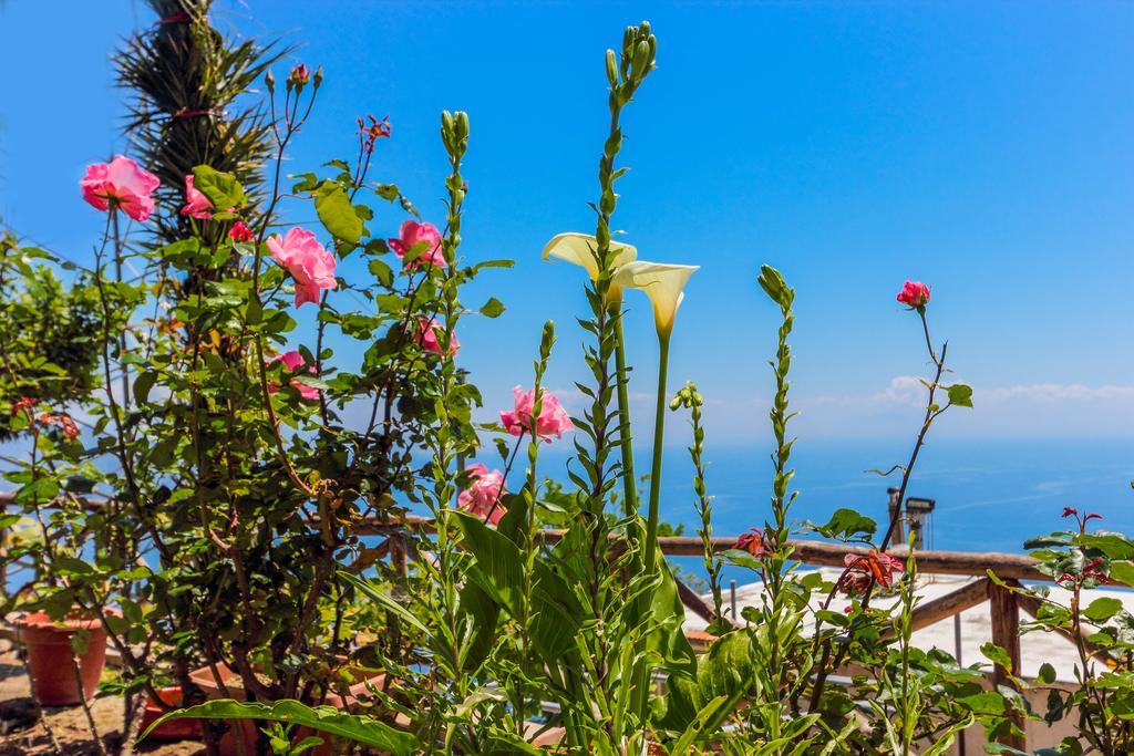 Villa Matilde Амальфи Экстерьер фото